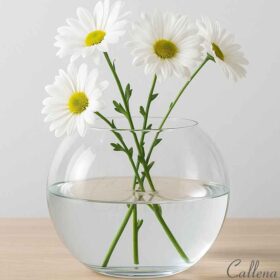 Bol, vaza de sticla transparent, 20x16cm, Callena